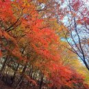 산자락에 이미지