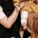 연세새살의원 이미지