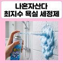 미쓰버블 | 나혼자산다 최지수 욕실 청소 세제 버블 폼 타입 세정제 스프레이 나혼산