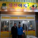 싱싱야채 Daum카페