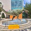 서대문자연사박물관 이미지