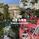 가야정원마켓 | 안가면 후회하는 국립세종수목원 앙리마티스 밤의정원, 가든마블 1 회차 다녀온 후기 예약링크, 꿀팁