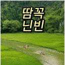 무아 이미지