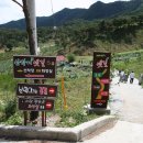 산막이옛길 선착장 이미지