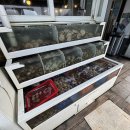 조개몽땅 이미지