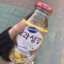 홍스비어 이미지