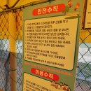 단호샌드파크 캠핑장 이미지