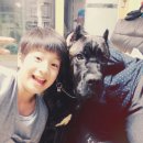 잔트가르 이미지