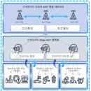 인프라시티