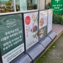 고향보쌈칼국수 상무본점 | 상무지구 맛집 고향보쌈칼국수 상무본점 | 세트 후기 (광주보쌈 &amp; 해물파전 &amp; 된장전골)