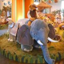 테지움사파리 이미지