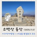 단양 지질공원 탐방객센터 | 한 걸음 한 걸음 걷기 명상 같았던 소백산 등산