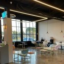 도기온 (doggyon) 이미지