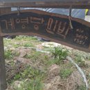 계영당 민박 네이버블로그