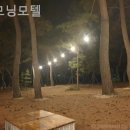 굿모닝모텔 - 세종특별자치시 으뜸길 180 | 굿모닝모텔