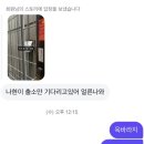 (주)아성다이소 방이시장점 | 나홀로 무계획 오사카 여행기(26.03.03-26.03.05)