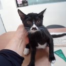 신월동183 이미지