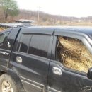 해마루농원 이미지