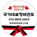 국가대표정태권도