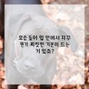 연세봄치과의원 이미지