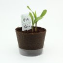 팜팜농장 이미지