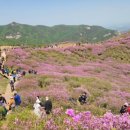 황매산 철쭉제 이미지