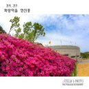 화랑마을-4 이미지