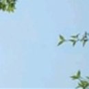 미소가득한치과의원 이미지