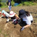 대구농장 이미지