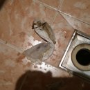 세이모텔 이미지