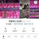 천돌축산 이미지
