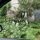 서수원치과의원 이미지