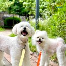 털로덮인친구들 서울상도점 이미지