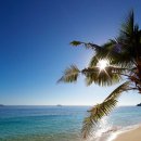 화산고구마 이미지