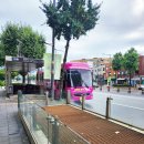 양양교육도서관 | [25.8.30~31] 페미니스트 연대 캠프 "우리는 모여서 세상을 바꾸지!"