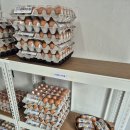 도봉로1길-7 이미지