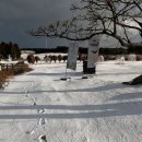 더 테쉬폰 이미지