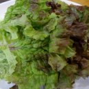 착한밥집 이미지