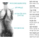 신통방통의원 이미지