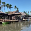 코코넛19 이미지