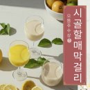 시골막걸리 - 공주시 | 시골막걸리