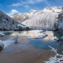 꽃며느리 이미지