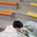 완산초등학교 이미지