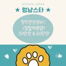 멍냥스타 강아지분양 고양이분양 이미지