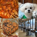 솥뚜껑윤이네 | 남양주 애견동반 맛집 솥뚜껑닭볶음탕 강아지 동반 솔직후기