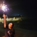 쉬다가개 애견호텔유치원 이미지