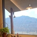 스테이살랑 이미지