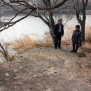 임실상가윷판형암각화유적 이미지