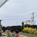 이플제주 이미지