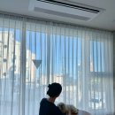 강릉멍릉도원애견펜션 | 강원도 강릉 애견동반 펜션 멍릉도원 | 사근진 해변 도보 1분 숙소